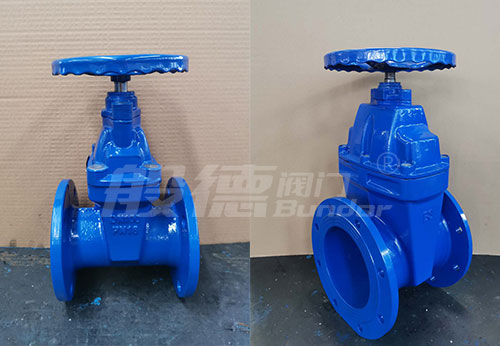 般德球墨鑄鐵閘閥、止回閥出口以色列