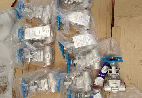 般德閥門與印度尼西亞工程公司的成功合作